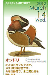 サントリーの日本の野鳥図鑑ブログパーツ